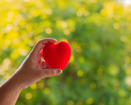 Hand holding a red heart on green bokeh light background, Valent