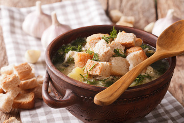 Thick garlic soup with croutons close-up in a bowl. horizontal