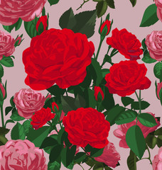 rose seamless pattern