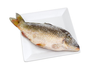 Frozen carp on white dish on a light background