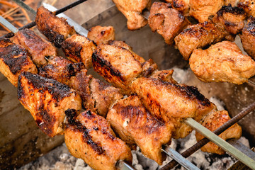 Barbecue, meat on the fire, nature, steak on a grill close-up. Kebabs on skewers cooked on the coals in the smoke. Food outdoors, relaxation.