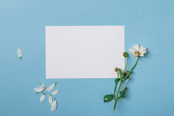 Spring top view composition: blank stationary template / invitat