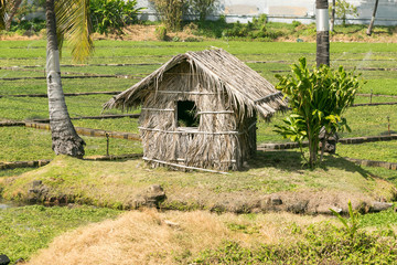 Polynesian Grass Hut on a Farm