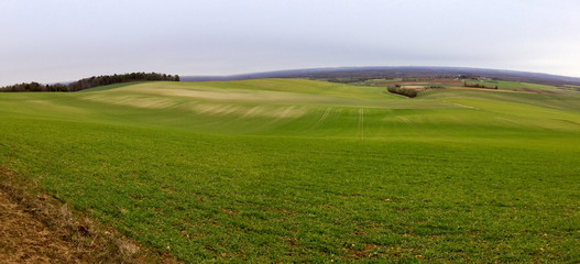 Obraz premium Champs vallonnés - agriculture française