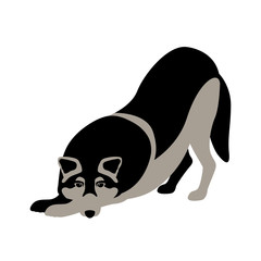 wolf vector illustration style Flat