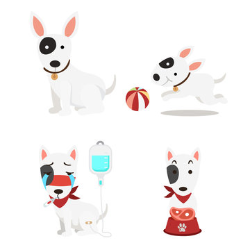 illustration isolated cute dogs set on white background