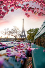 Eiffel Tower during spring time in Paris, France - obrazy, fototapety, plakaty