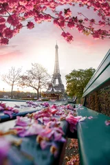 Gordijnen Eiffel Tower during spring time in Paris, France © Tomas Marek