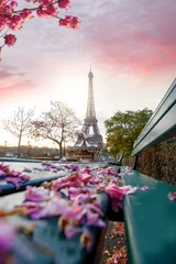 Foto op Canvas Eiffeltoren tijdens de lente in Parijs, Frankrijk © Tomas Marek