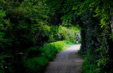 Fototapeta na wymiar Young man jogging in park at water channels in Woking