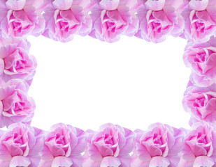 Pink roses for my love on marble background.