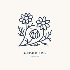 Fototapeta na wymiar Chamomile vector line icon. Aromatic herbs logo, daisy chain sign. Linear illustration for natural camomile tea.