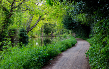 Fototapeta na wymiar Walkpath at water channels in Surrey green area out of town and
