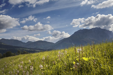 Fr&uuml;hling im Gailtal