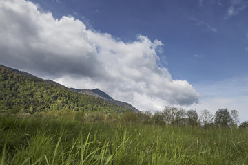 Frühling im Gailtal