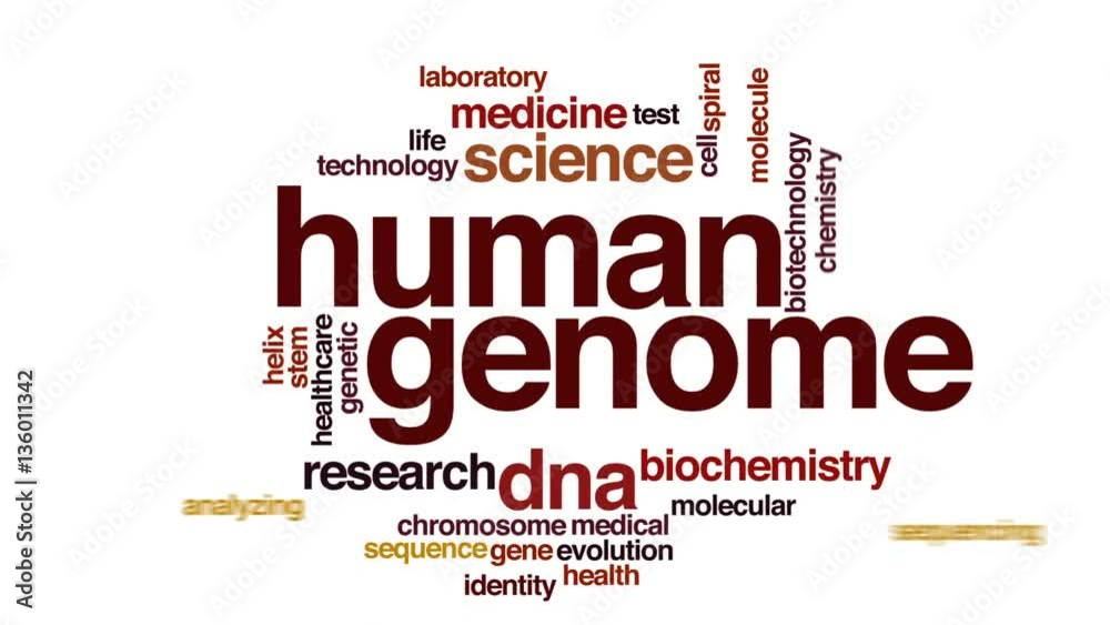 Wall mural Human genome animated word cloud, text design animation.