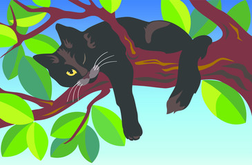 Lazy black cat lying on a tree branch. Illustration