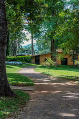 Royal Botanical Gardens, Kandy Sri Lanka
