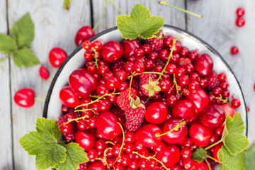Steel bowl filled variety fruit