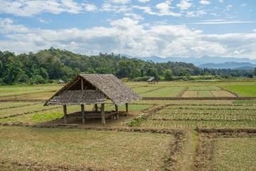 Fototapeta na wymiar Natural view with the small hut at Pai, Thailand