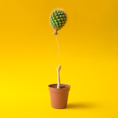 Doll hand reaching for cactus balloon out of flower pot on yello