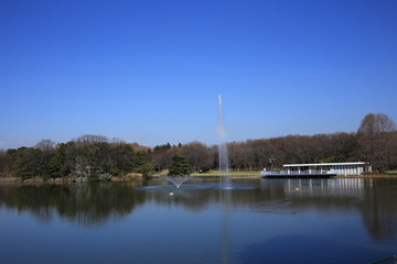 長居植物園の池