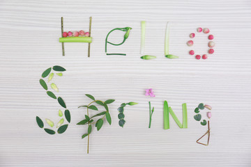 Text HELLO SPRING made of leaves and herbs on wooden background