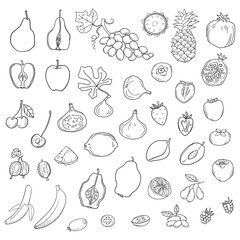 Vector set of stylized fresh cute fruits