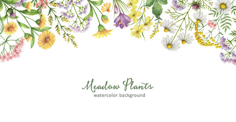 Watercolor banner with meadow plants.