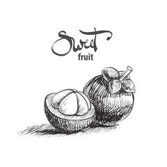 Sweet mangosteen illustration - 136018197