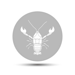 crayfish vector icon on gray background