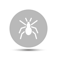 Spider vector icon on gray background