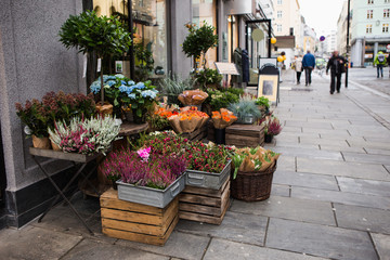 Flowers are near a flower shop on a city street.