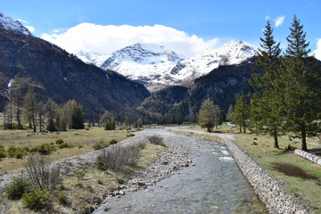 Fototapeta na wymiar Trenino Rosso del Bernina 54