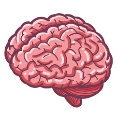 Brain's anatomy cartoon illustration vector.