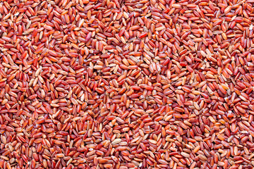 Fototapeta premium Ruby red rice