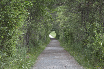 Wanderweg am Pressegger See