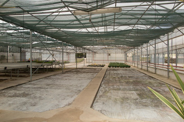 an empty greenhouse in a garden center