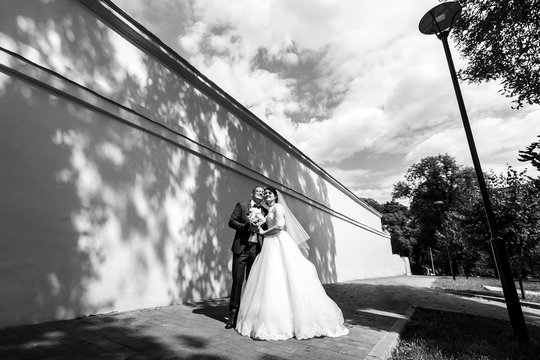 Black and white picture of stunning newlyweds standing in trees'