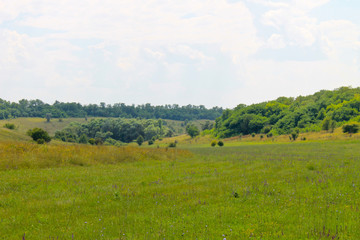 Summer landscape with meadow, trees and hills