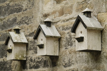 Fototapeta na wymiar Birdhouses