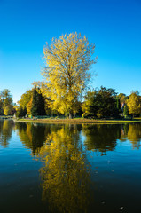 Autumn in Parc des Étangs Mellaerts, Brussels