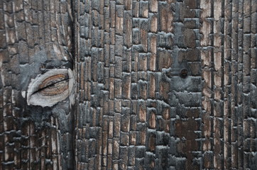 Texture of burnt wood