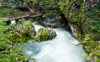 Scenic Vintgar gorge in Slovenia
