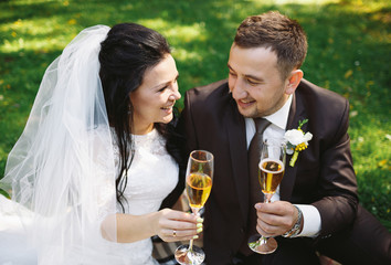 Cheerful newlyweds are drinking champagne on the picnic