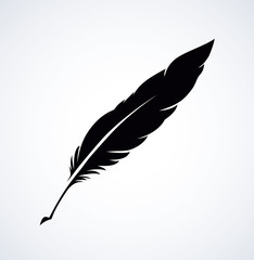 Vector drawing dark bird feather