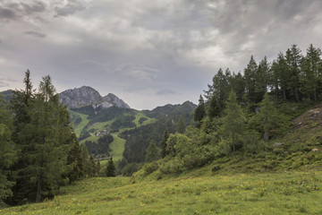 Obraz premium Am Nassfeld