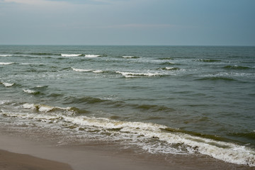 See