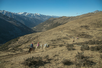 siguniangshan,四姑娘山