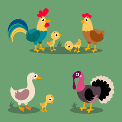 Set of popular colorful vector farm birds. Cute farm birds: rooster, hen, chicken, duck, goose, duck, turkey. Vector hand drawn clip art illustration isolated on green background.